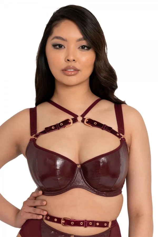 Curvy Kate Buckle Up Padded Half Cup Bra