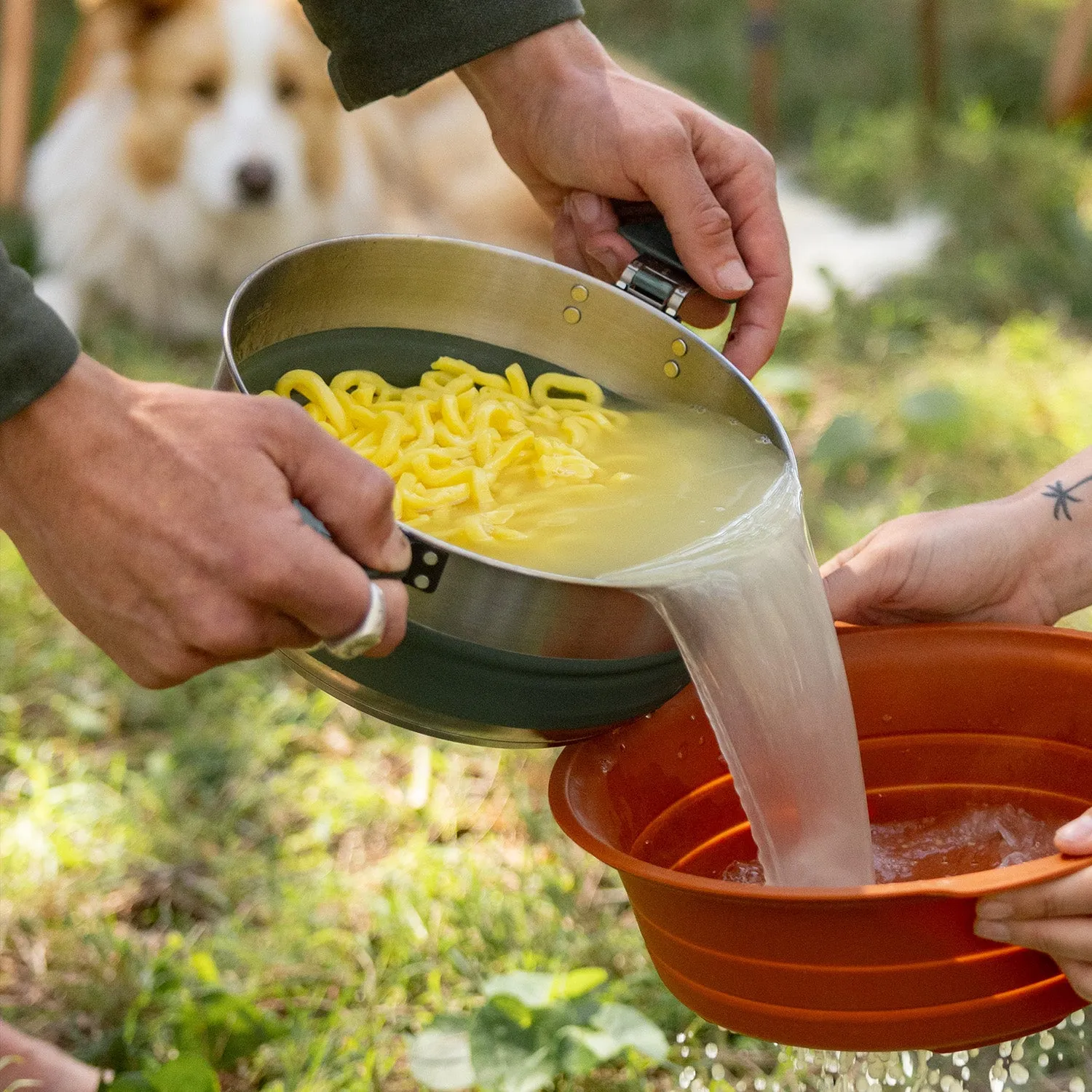 Detour Stainless Steel Collapsible Pot