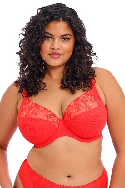 Elomi Charley Plunge Underwire Bra