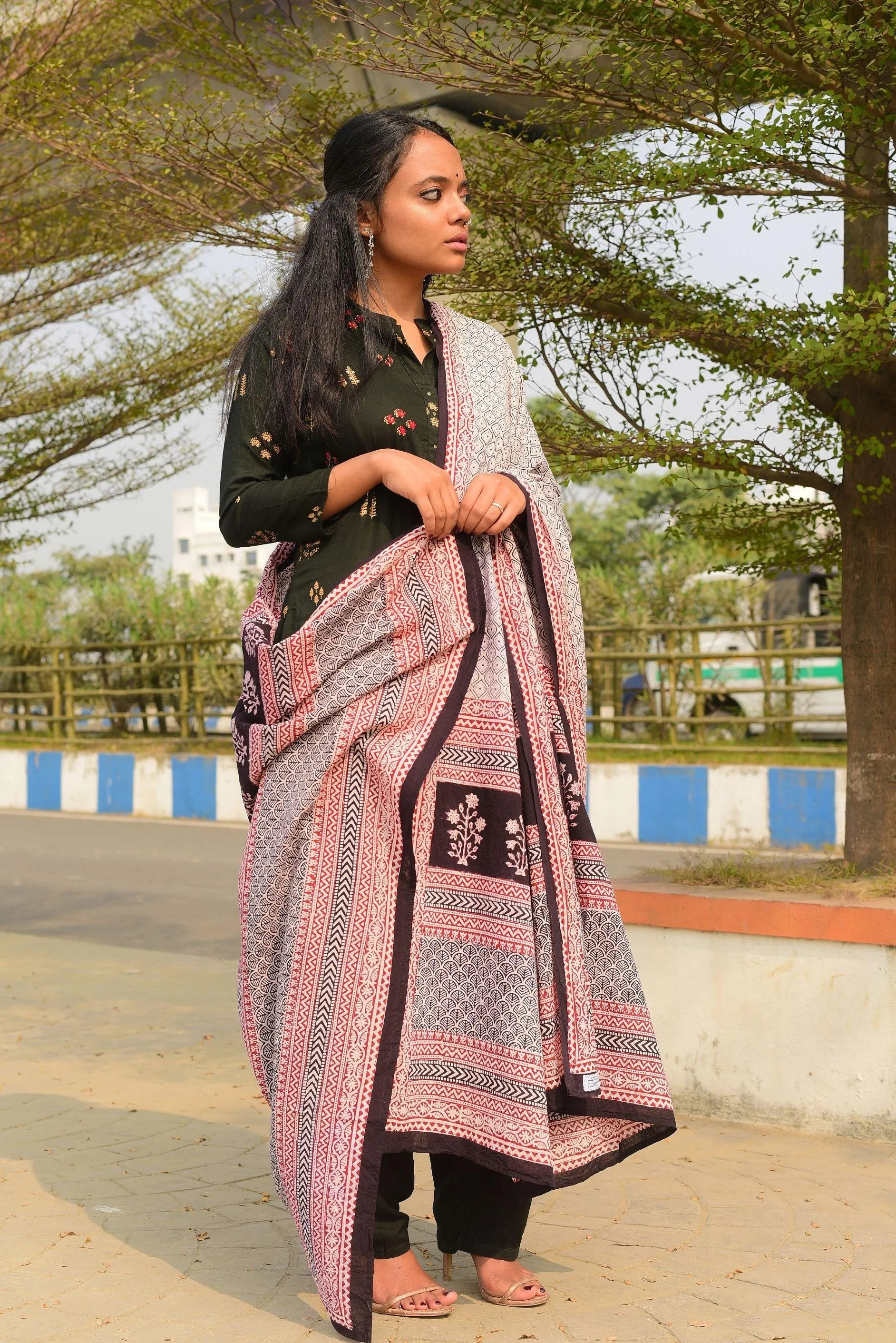 Kaisori Nandana collection - Bagh black honey comb block printed dupatta