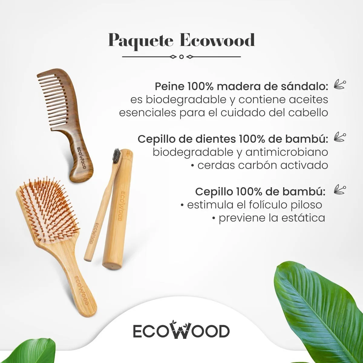 Kit Viajero Ecológico: Peine, Cepillo de Cabello, Cepillo de Dientes y Estuche