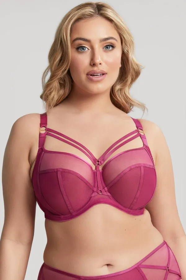 Panache Dionne Full Cup Bra